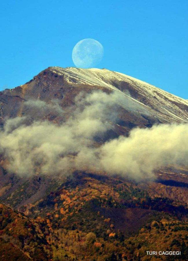Guest House Le Ginestre Dell'Etna Belpasso Exterior photo